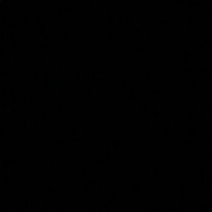 Meet your Posher, Raven